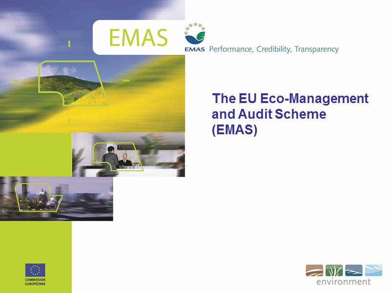 The EU Eco-Management and Audit Scheme (EMAS)